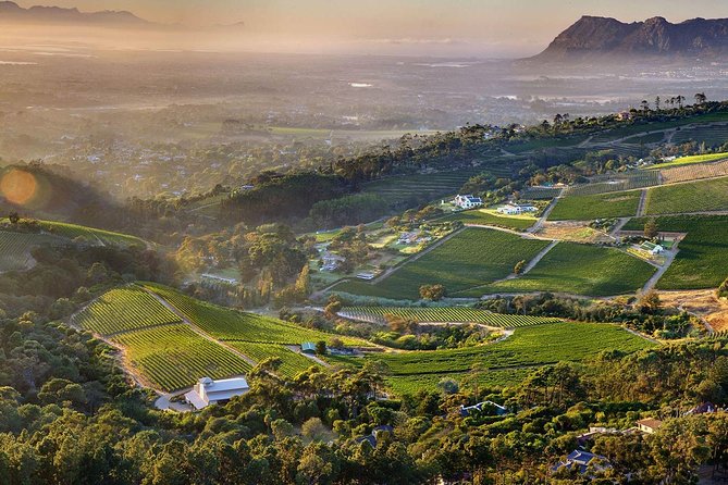 Constantia landscape