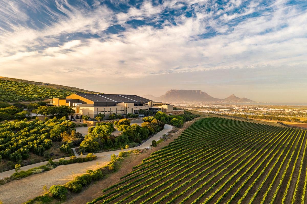 Durbanville wine-country landscape